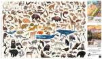 Buffalo Games - Kara Mohr - Conservation Collage - 2000 Piece Jigsaw Puzzle for Adults - Challenging Puzzle Perfect for Game Nights - Finished Size is 38.50 x 26.50