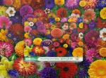 Springbok Blooming Every Daisy 500 Piece Jigsaw Puzzle for Adults - Colorful Flower Collage - Unique Cut Pieces - Great for Relaxing and Mindful Activity - Finished Size 23.5" x 18"