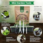25 Popular Non-GMO Herb Seeds Variety Pack