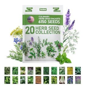 20 Pack of Non-GMO Culinary Herb Seeds