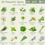 20 Pack of Non-GMO Culinary Herb Seeds