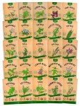 25 Popular Non-GMO Herb Seeds Variety Pack