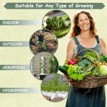 20 Pack of Non-GMO Culinary Herb Seeds