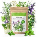 Herb Seeds Variety Pack - Non-GMO Heirloom Seeds