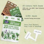 20 Pack of Non-GMO Culinary Herb Seeds