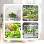 Herb Seeds Variety Pack - Non-GMO Heirloom Seeds