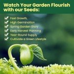 Herb Seeds Variety Pack - Non-GMO Heirloom Seeds