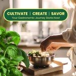 Herb Seeds Variety Pack - Non-GMO Heirloom Seeds