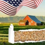 Herb Seeds Variety Pack - Non-GMO Heirloom Seeds