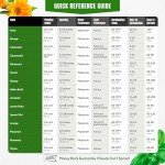 Herbal Tea Seeds Variety Pack for Home Garden