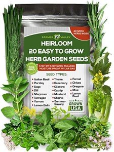 20 Easy Herb and Spice Seeds for Gardening