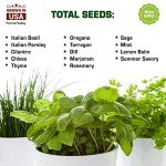 Culinary & Medicinal Herb Seed Variety Pack
