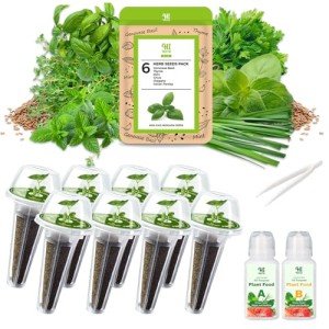 Herb Seed Pod Kit: Basil, Mint & More