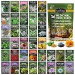 36 Variety Medicinal Herb Seed Pack for Planting