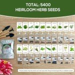 20 Easy Herb and Spice Seeds for Gardening