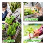 Culinary & Medicinal Herb Seed Variety Pack