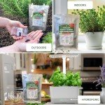 20 Easy Herb and Spice Seeds for Gardening