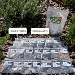 20 Easy Herb and Spice Seeds for Gardening