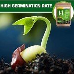 Culinary & Medicinal Herb Seed Variety Pack