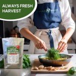 20 Easy Herb and Spice Seeds for Gardening