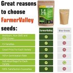 Culinary & Medicinal Herb Seed Variety Pack