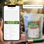 20 Easy Herb and Spice Seeds for Gardening
