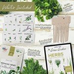 Organic Herb Seeds Variety Pack - 15 Types