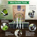 18 Herbal Tea Seeds Variety Pack for Gardening