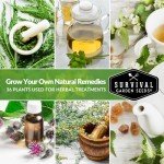 36 Variety Medicinal Herb Seed Pack for Planting