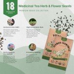 18 Herbal Tea Seeds Variety Pack for Gardening