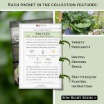 Hydroponic Vegetable Seed Kit for Indoor Gardening