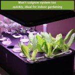 Hydroponic Vegetable Seed Kit for Indoor Gardening