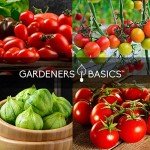 Hydroponic Tomato Seeds Kit for Indoor Gardening