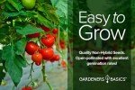 Hydroponic Tomato Seeds Kit for Indoor Gardening
