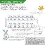 Hydroponic Garden Kit with 36 Sites & Accessories