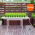 Hydroponic Garden Kit with 36 Sites & Accessories