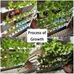Hydroponic Garden Kit with 36 Sites & Accessories