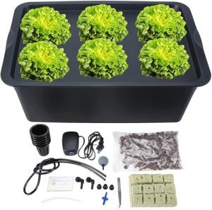Deep Water Culture Hydroponic Growing Kit - 6 Sites
