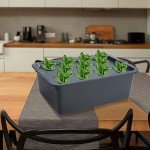 Deep Water Culture Hydroponic Growing Kit - 6 Sites