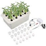 Hydroponic Growing Kit with Air Pump - 12 Holes