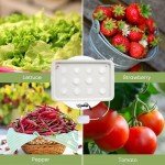 Hydroponic Growing Kit with Air Pump - 12 Holes