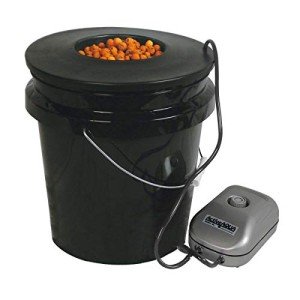 5-Gallon Hydroponic DWC Bubble Bucket System