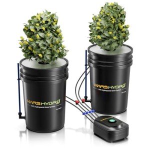Mars Hydro 5 Gallon Hydroponics Grow System