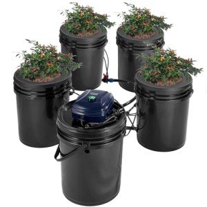 VEVOR Hydroponic Growing System for Leafy Veggies