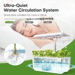 Indoor Hydroponics Growing System with LED Grow Light