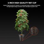 Spider Farmer 7-Gallon Hydroponics Grow System