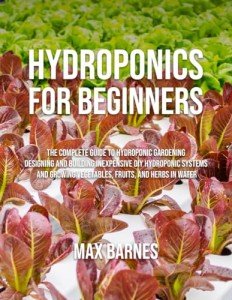 Beginner's Guide to Hydroponic Vegetable Gardening