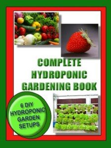 Hydroponic Gardening Guide: 6 Easy DIY Setups
