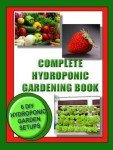 Hydroponic Gardening Guide: 6 Easy DIY Setups