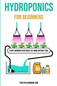 Beginner's Guide to Soil-Free Hydroponic Gardening